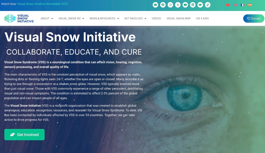 Visual Snow Initiative